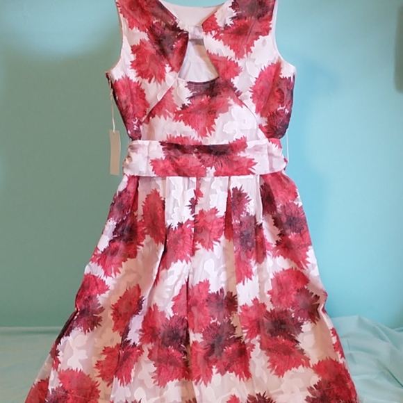 ISANI FOR TARGET FIT AND FLARE DRESS Medium - Picture 4 of 9